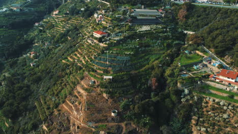 terraced hills of the italian countryside