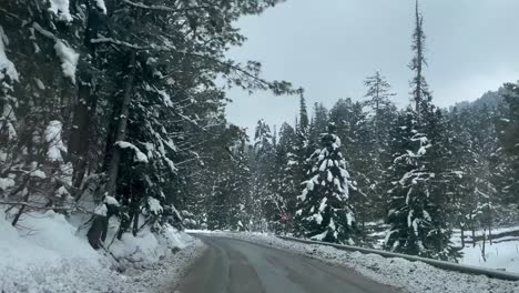 Asphaltstraße-Durch-Schneebedeckte-Waldbäume-In-Gulmarg,-Die-Im-Winter-In-Die-Kaschmir-Berge-Führt