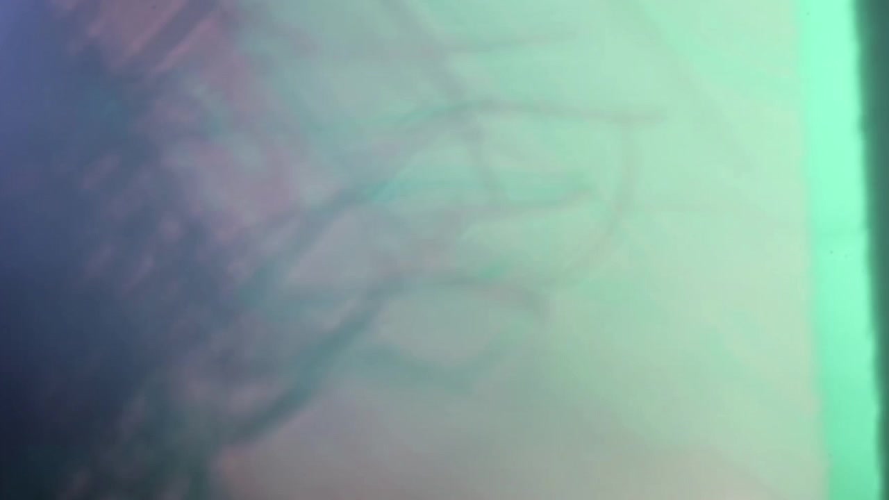 Abstract Light Leaks and Color Transitions Overlay