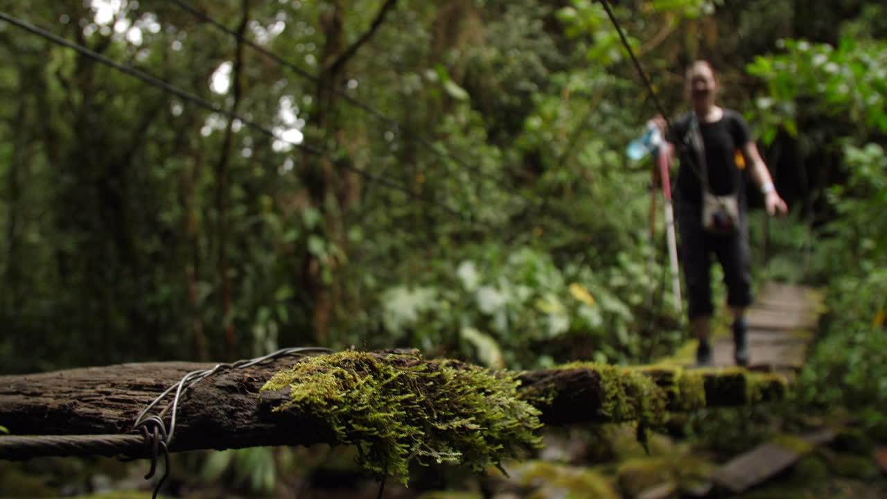 viejo puente cubierto de musgo cerca paseos turísticos a cámara lenta