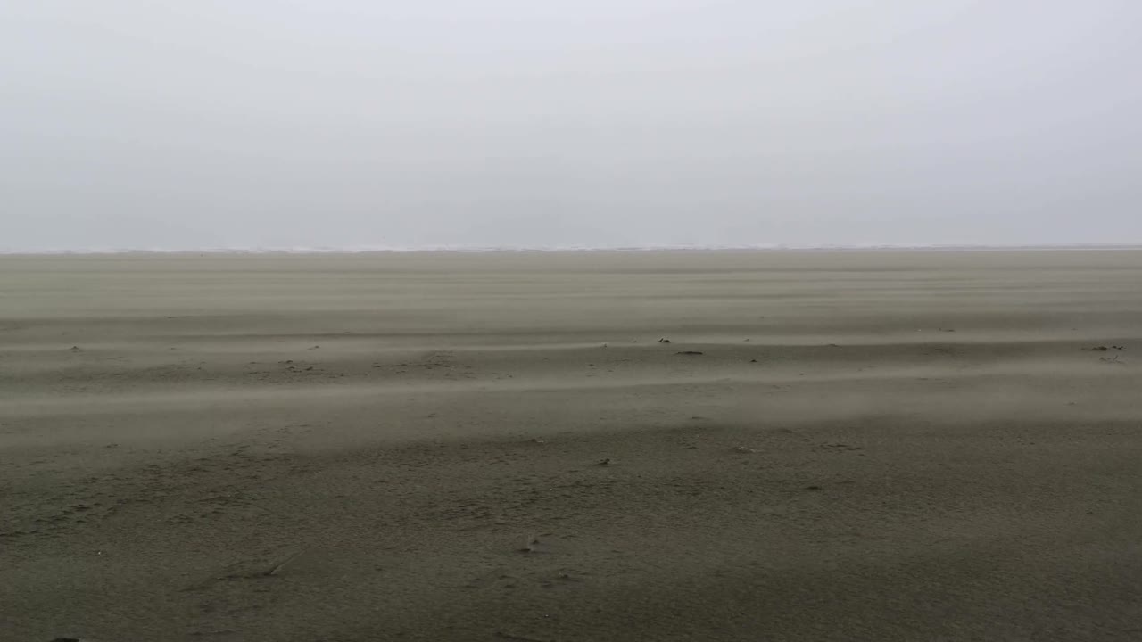 Storm winds blowing over the beach sand -wide