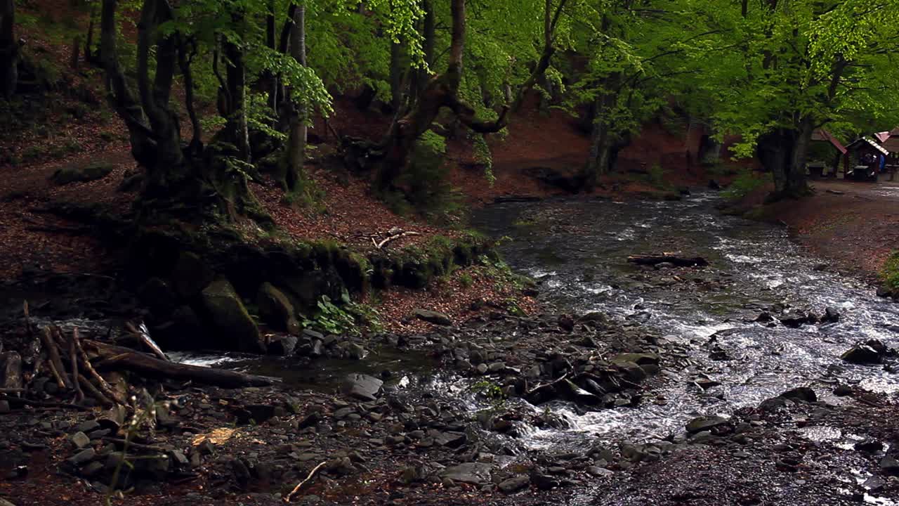 un pequeño río de montaña fluye a través del bosque oscuro. hermoso paisaje forestal