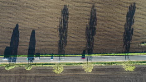 Beautiful-top-down-view-of-a-road-with-trees