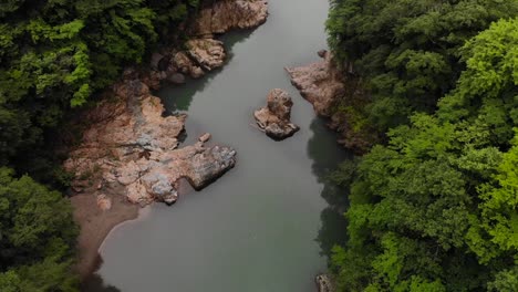 lush green valley with rocky river in japan