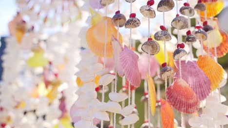 colorful seashell wind chimes