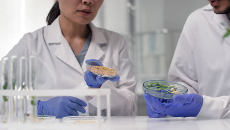 scientists inspecting genetically modified plant seeds