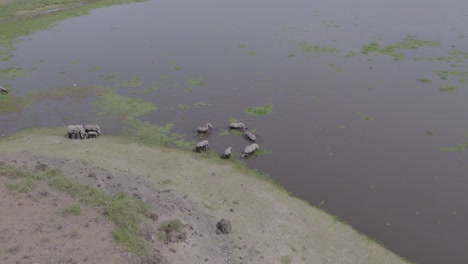 elefantes en un pozo de agua en la sabana africana