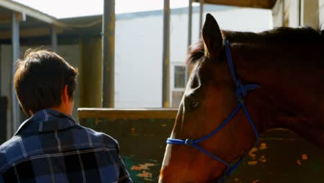 woman walking with horse at stable 4k