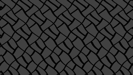 black and white pattern on a minimal background.