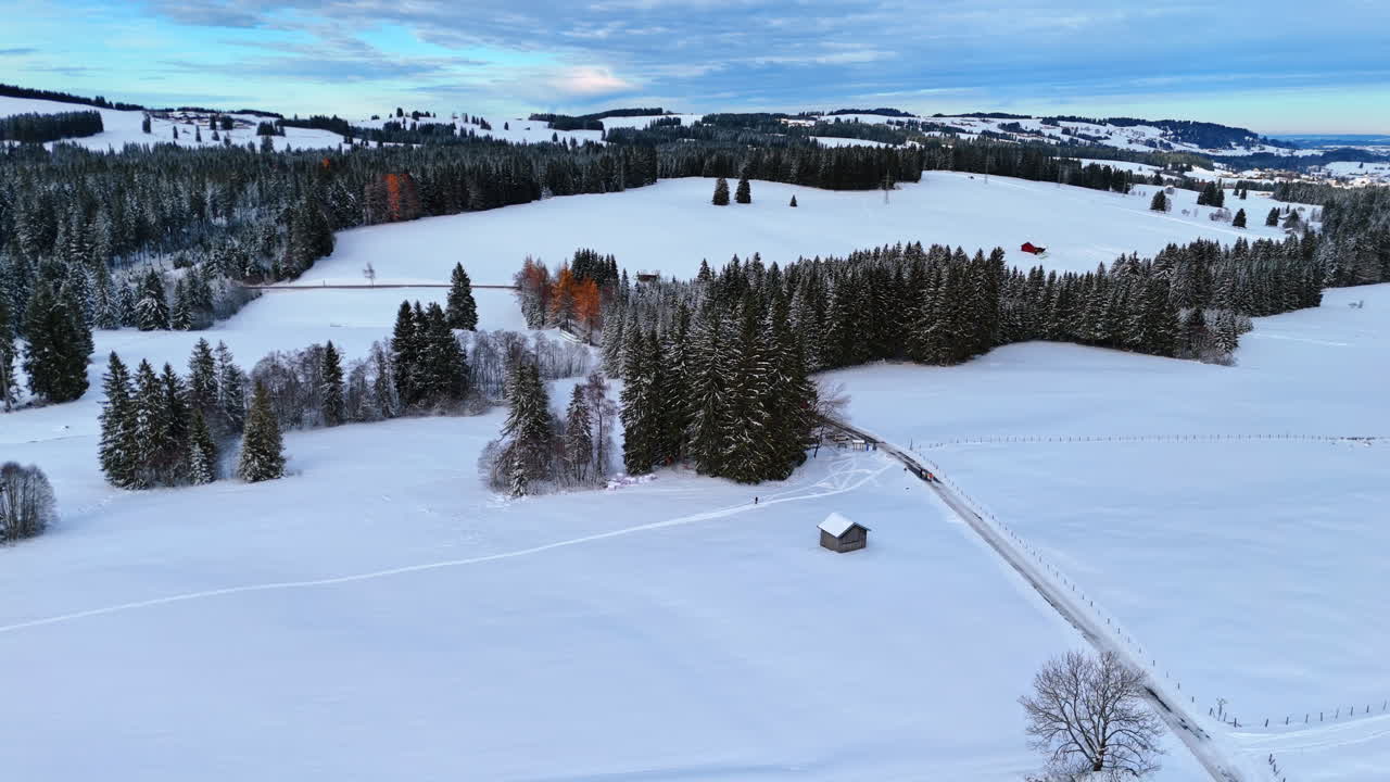 Capanne isolate nella valle innevata. Boschi di pini tutt'intorno. Filmato aereo della campagna in inverno.