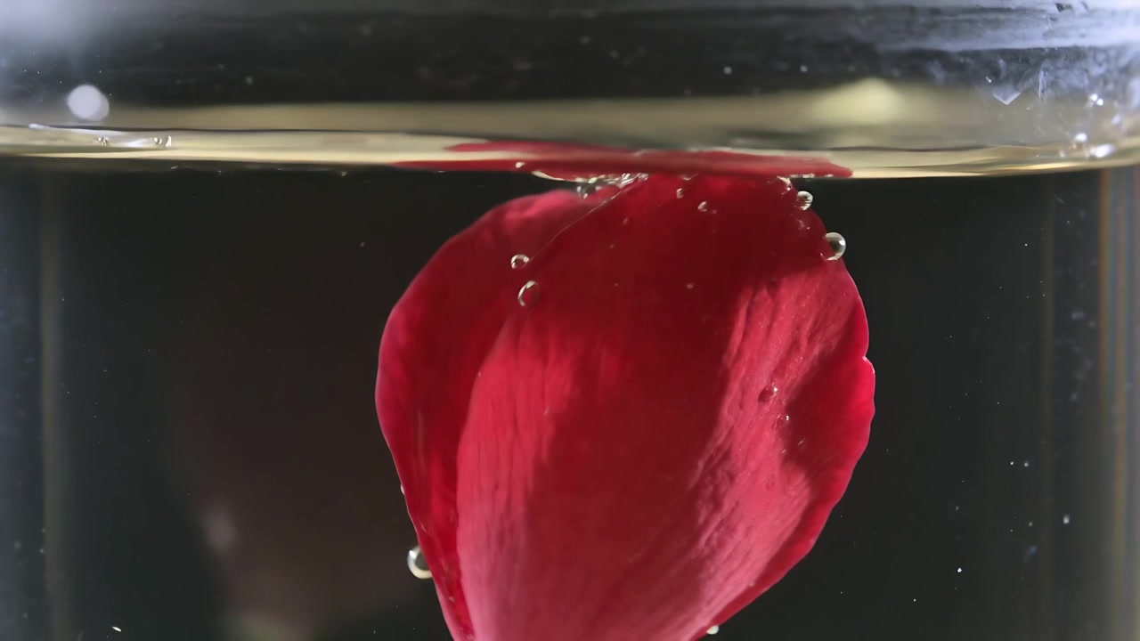Petalo di fiore rosso che cade, toccando la superficie dell'acqua in un bicchiere trasparente, formando bolle, ruotando e depositandosi.