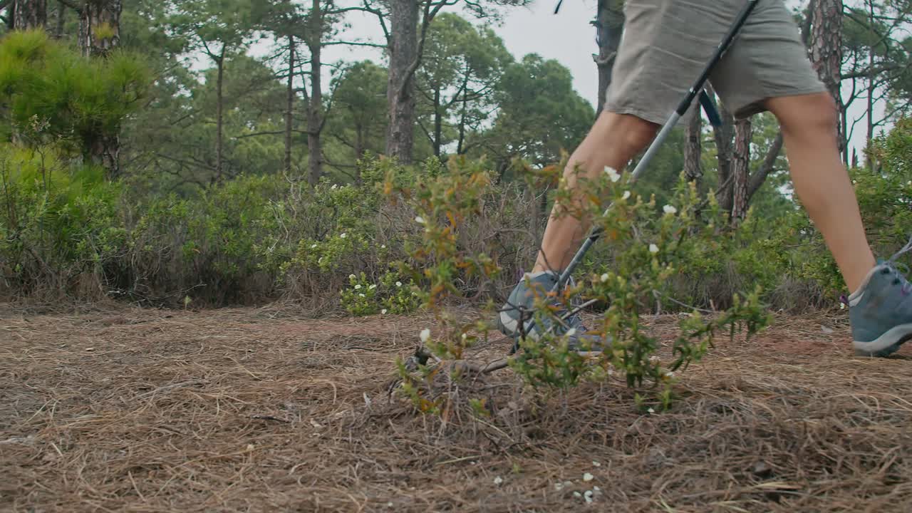 Male hiker walking in forest