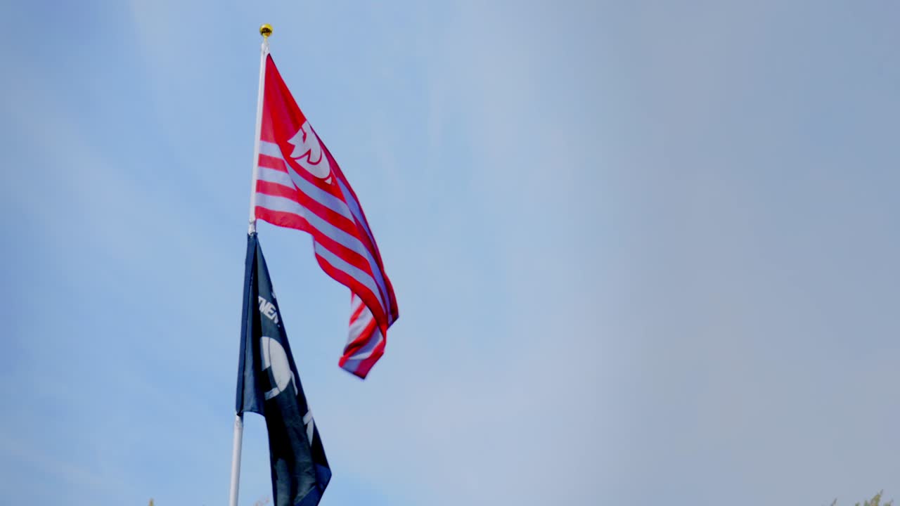 Bandiera 'impegno per l'eccellenza' e bandiera della Washington State University che sventola, video di celebrazione nazionale americana