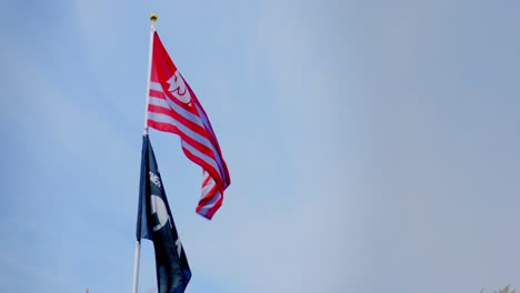 compromiso con la bandera de excelencia y la bandera de la universidad del estado de washington ondeando moscas video celebración nacional americana