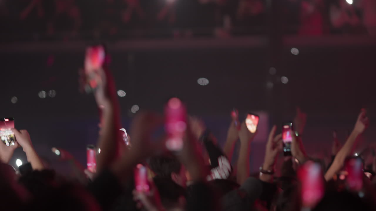 Folla di concerti con telefoni e luci