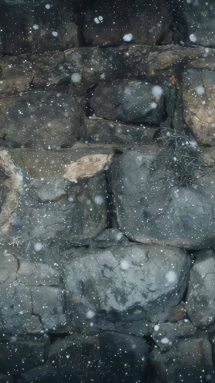 Vertical video: Snow starting, flakes passing stone wall at rock face, wind driving, showing lichen