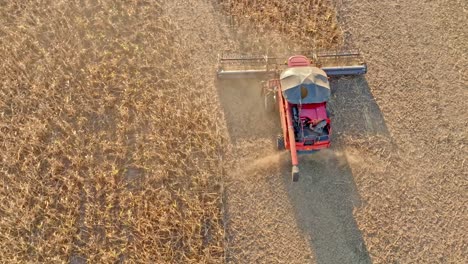 drone shoot of harvesting corn