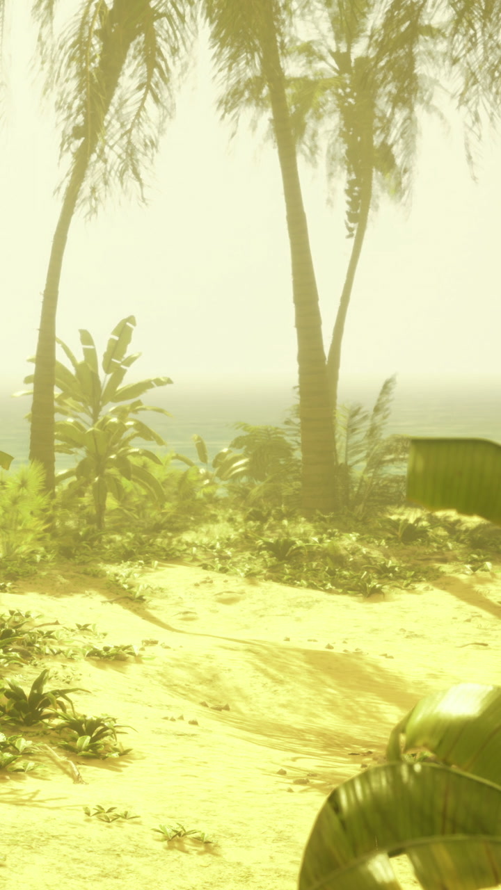 Serene beach scene with palm trees and gentle waves on a sunny day
