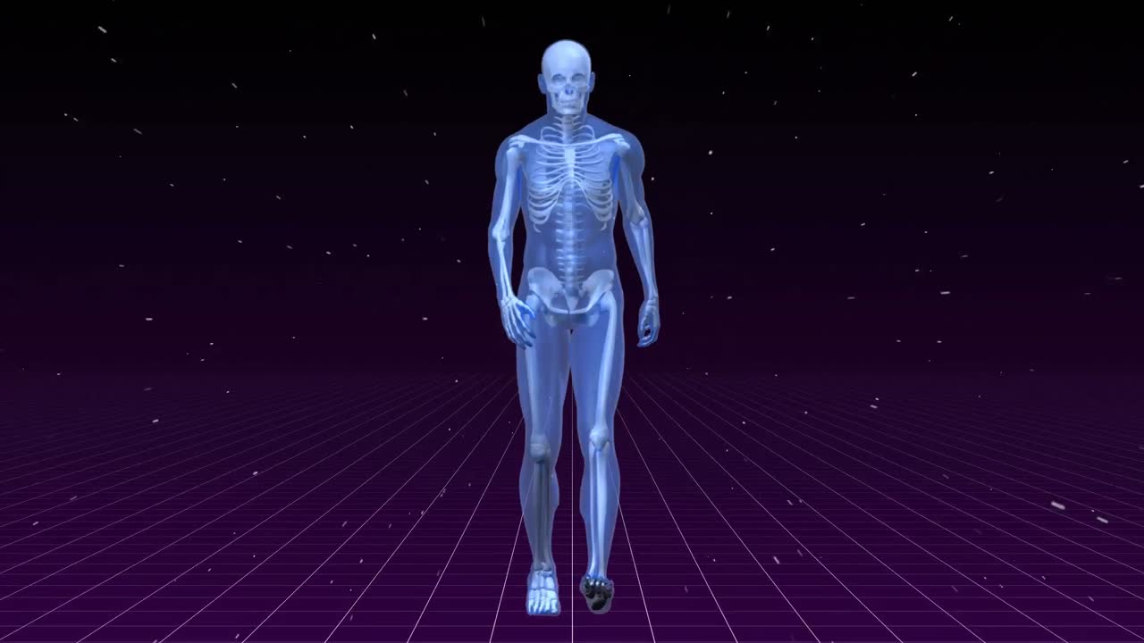 анимация прототипа человека