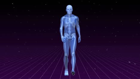 animación del prototipo del hombre