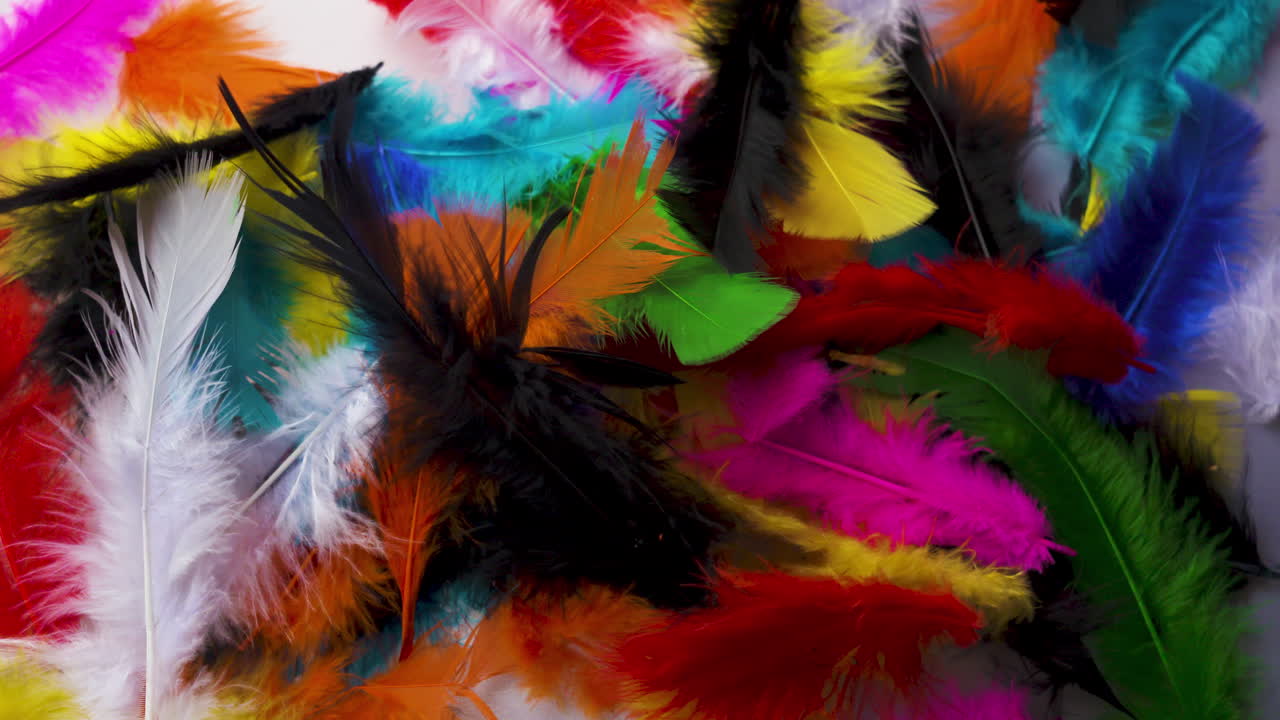 plumas vibrantes y multicolores que caen suavemente en una pila