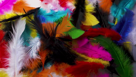Vibrant,-multicolored-feathers-gently-falling-into-a-pile
