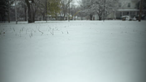 fuertes nevadas cubren el suelo