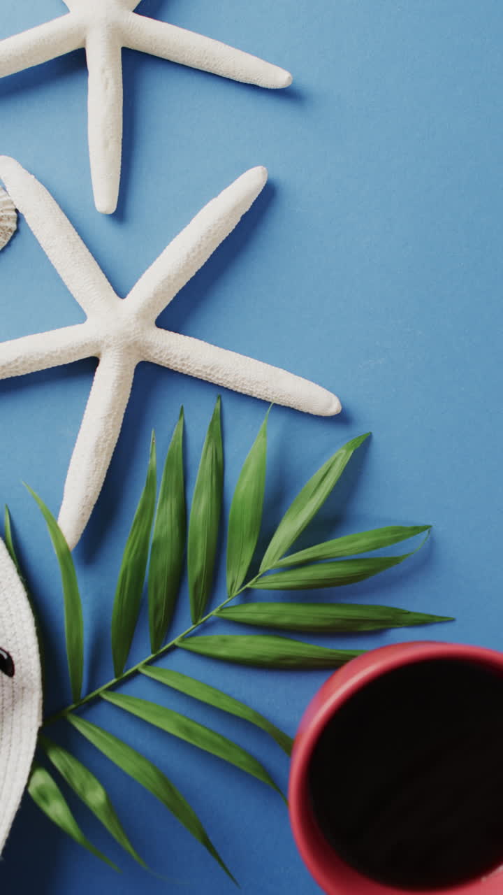 Vertical video of shells, leaf and red pot and copy space on blue background