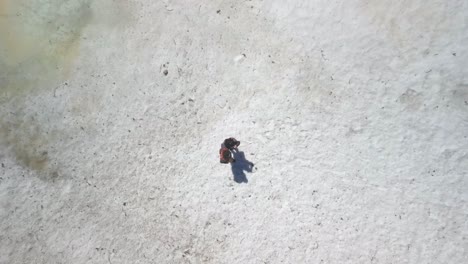 vista de pájaro de una pareja caminando en la nieve a lo largo de un lago congelado