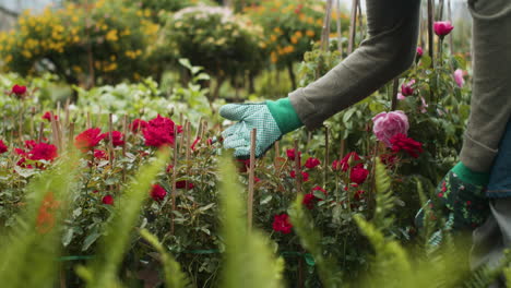 jardinero que trabaja en interiores