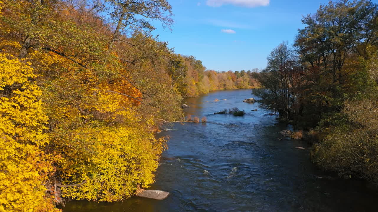 Aerial view of yellow natural trees. Beautiful autumn nature landscape.