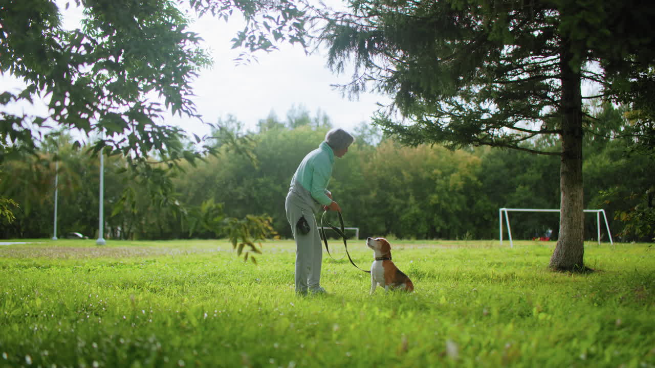 Dog owner lovingly petting obedient dog while standing on bright green field under tall tree near goal post during sunny outdoor training session surrounded by peaceful nature and lush landscape