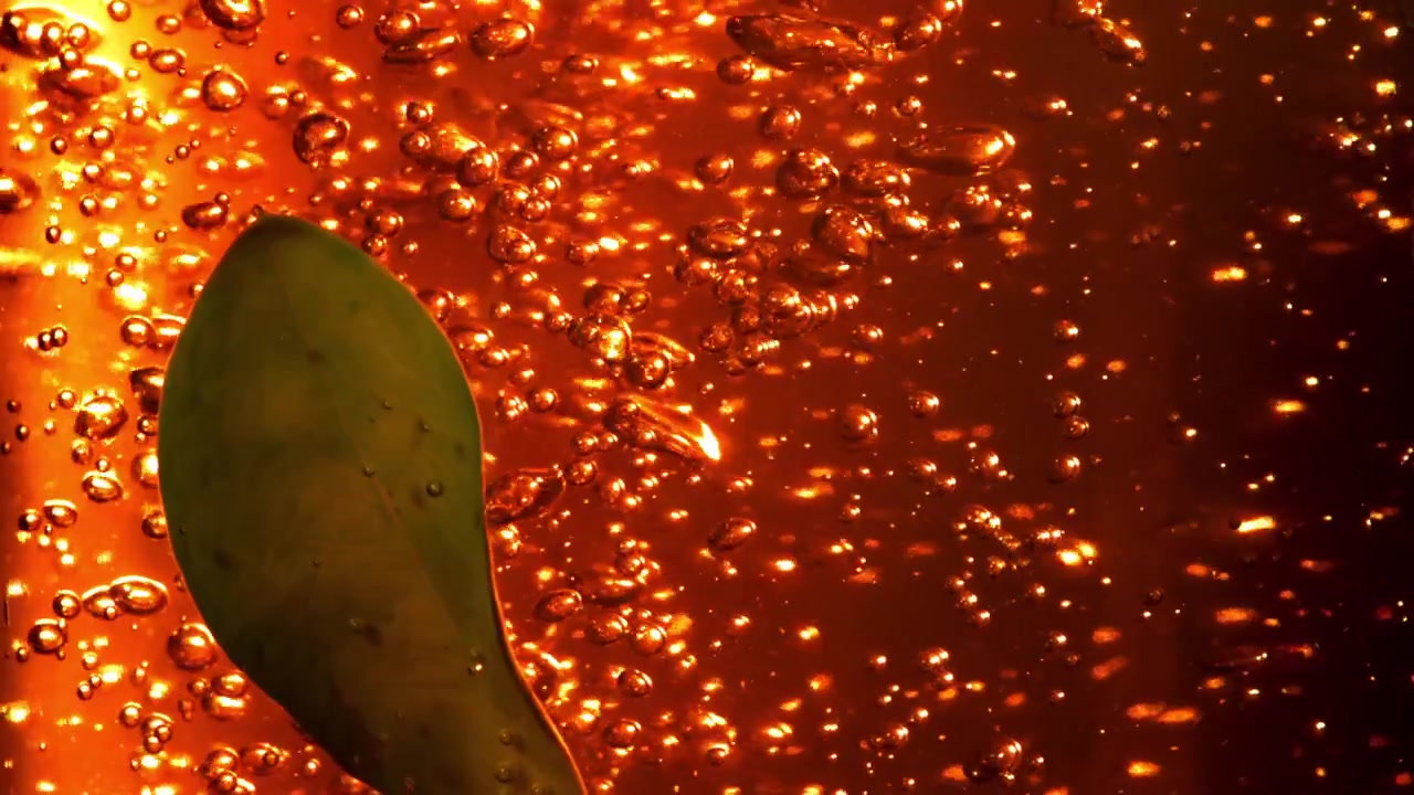 Foglia verde e bolle arancioni scintillanti nel liquido.