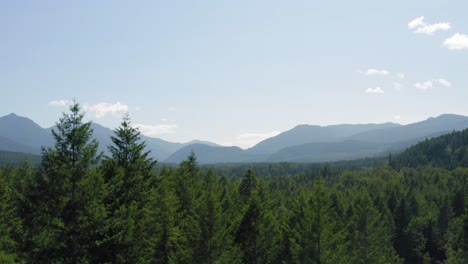 美國華盛頓州帕克伍德 (packwood) 的雷尼爾山國家公園 (mount rainier national park) 和明亮的天空的風景