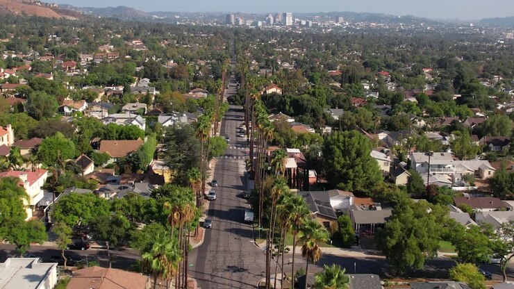 Burbank, California, USA, volo sopra palme e case in una sera di sole, veduta aerea da drone