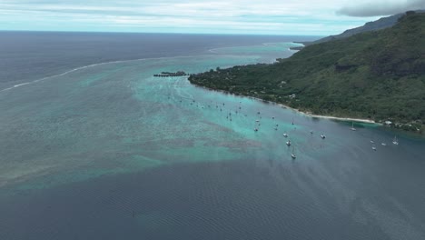 aerial view of sailboats sailing in the ocean of opunohu bay, moorea, french polynesia