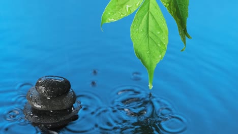 caída de gota de agua en agua azul con pirámide y hojas verdes.