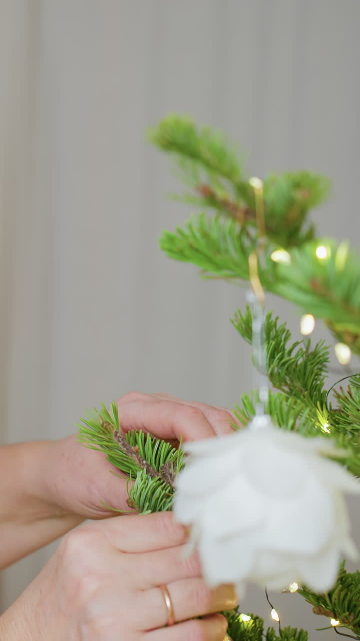 Decorating seasonal tree, Adding festive ornament to fir, Arranging white floral ornaments on pine branch with care, Placing soft lit petal decorations on fir for cozy holiday atmosphere