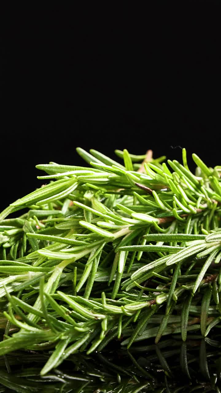Um maço de alecrim fresco gira suavemente contra um fundo preto com reflexos brilhantes, capturado com iluminação de estúdio de alta resolução para temas culinários ou botânicos.