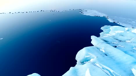 panoramic view with a drone of white iceberg in iceland. seals are on white ice floe in the background.