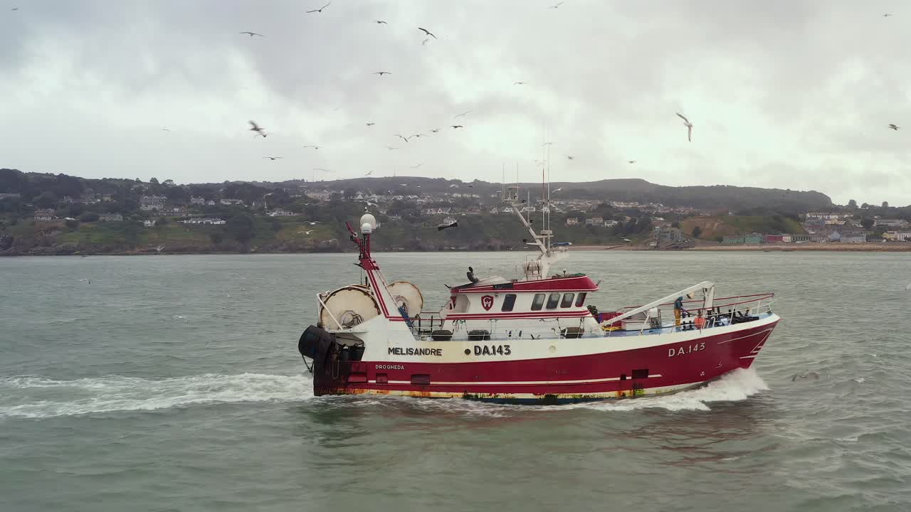 Aerial tracking pan follows fishing boat with rusted bottom as flock of seagulls swarm above vessel