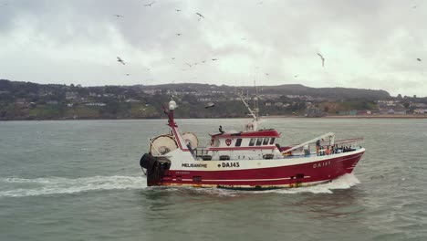 aerial tracking pan follows fishing boat with rusted bottom as flock of seagulls swarm above vessel