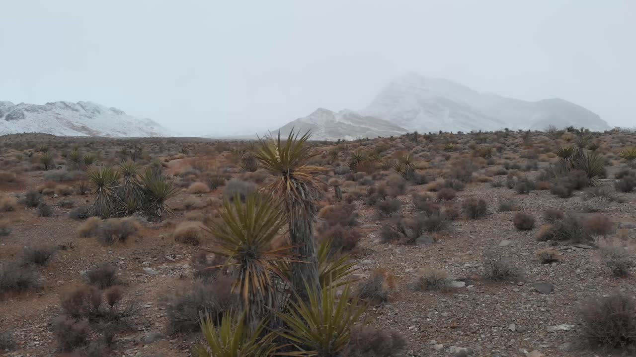 en una sartén lenta