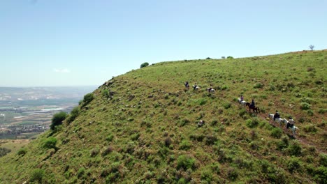 Horses-climbing-a-hill-above-the-Sea-of-Galilee---israel-2