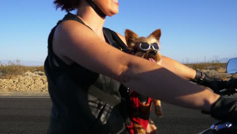 woman motorcyclist with dog