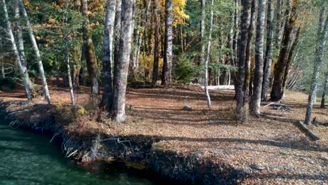 Pull-back-shot-of-forest-and-river-in-autumn-in-Canada