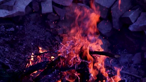 Aufnahme-Eines-Lagerfeuers-In-Einem-Wald-Bei-Nacht