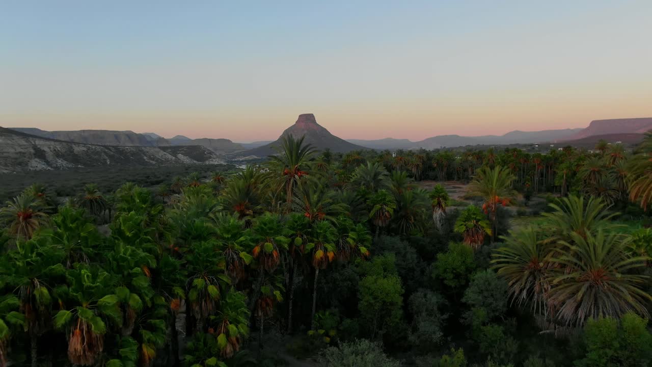vista aérea alejándose, vista panorámica de la granja de palmeras de la purísima baja california sur, méxico, montañas el pilón al fondo durante la puesta de sol