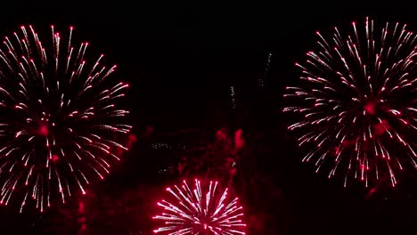 coloridos fuegos artificiales explotando en el cielo nocturno. celebraciones y eventos en colores brillantes.