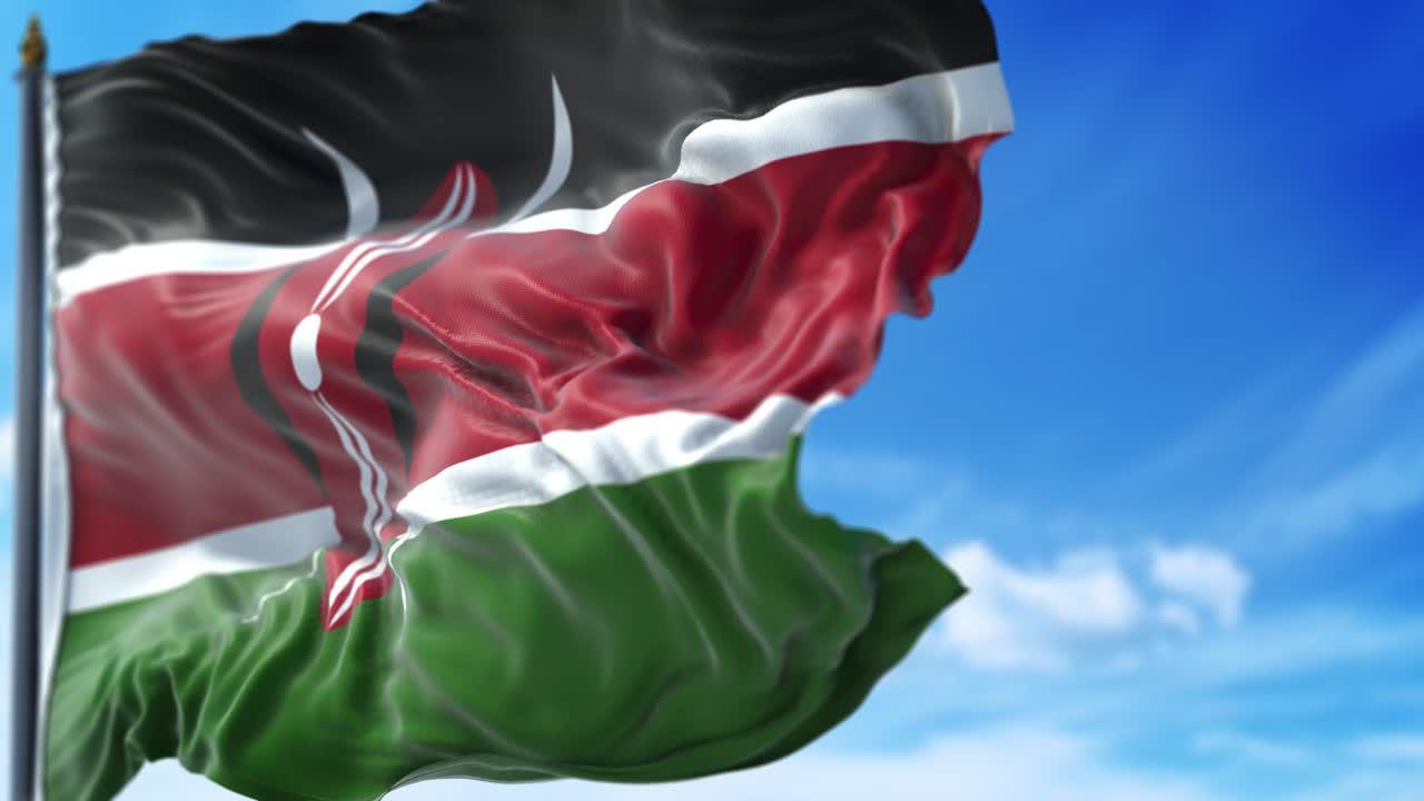 케냐의 발이 푸른 하늘을 향해 천천히 흔들리고 있습니다.